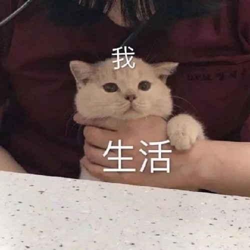 天空85