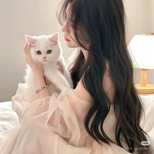 椰子⭐