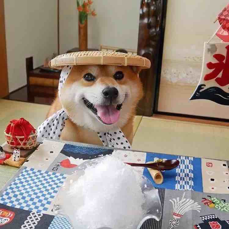 姝儿