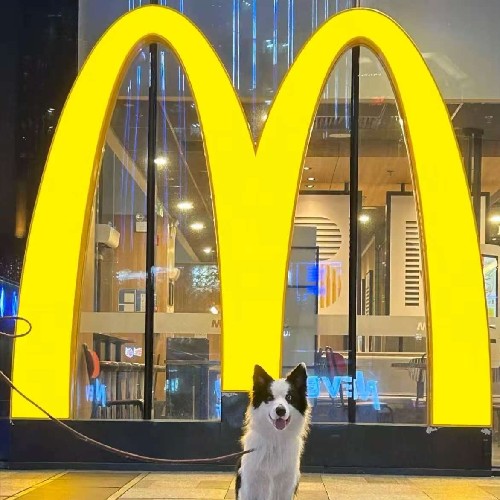 西红柿爸爸