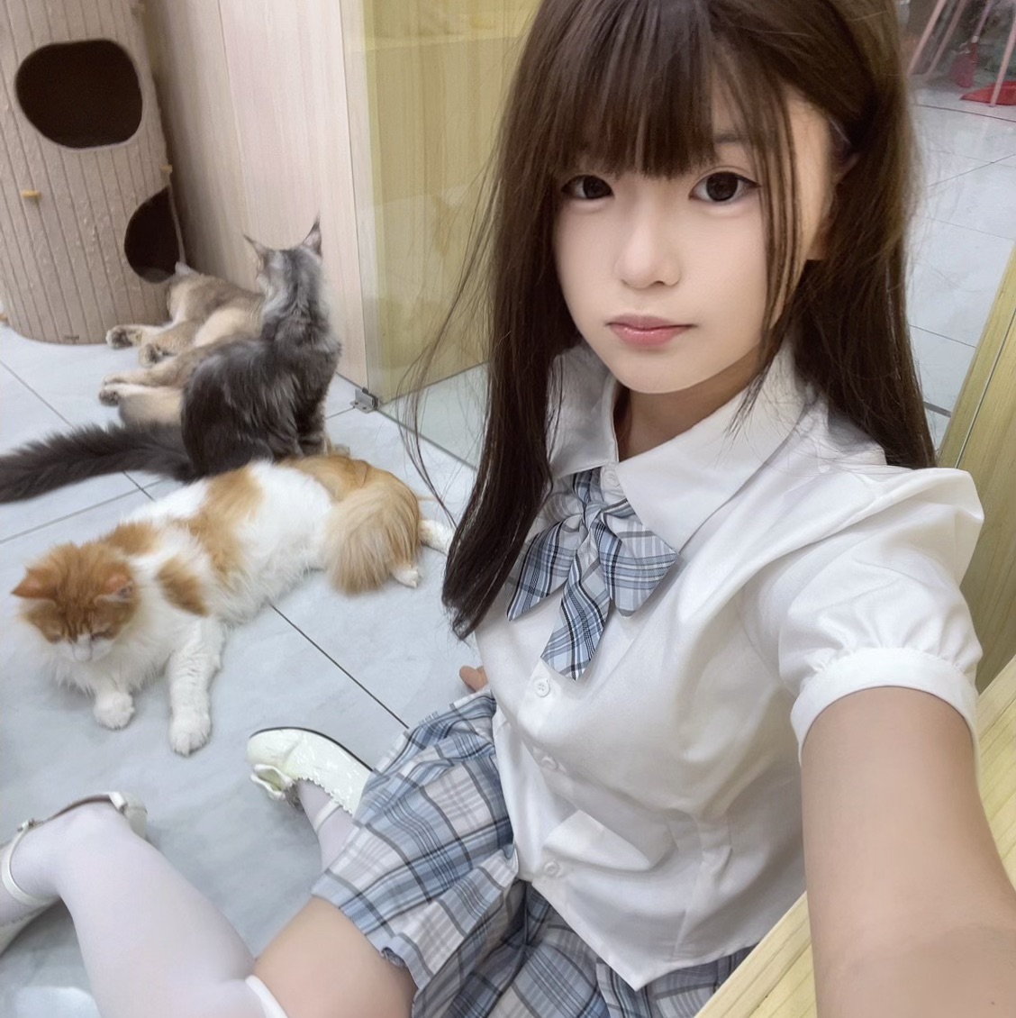 你的兔兔